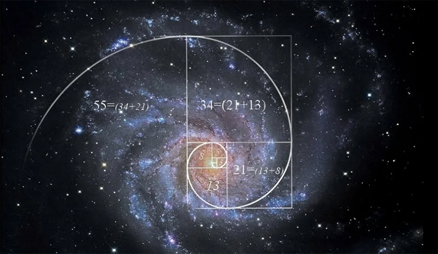 Golden Ratio Spiral